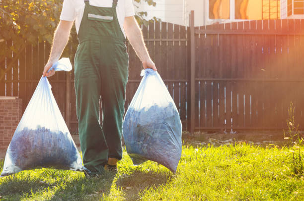 Best Property Management Cleanouts  in Ellisville, MO